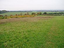 Magog Down