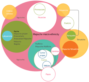 Mapuche macro-ethnicity