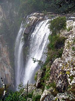 Minyon Falls & rhyolite.jpg