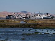 Mothball Fleet - Suisun Bay