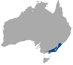 Mountain Brushtail Possum area.png