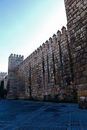 Muralla alcazar 001