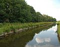 New River Harringay