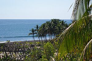 Palms El Salvador