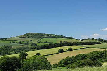 Pilsdon Pen from the southeast.jpg