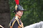 Princess Anne, June 2013.JPG