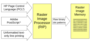 RIP Data Flow