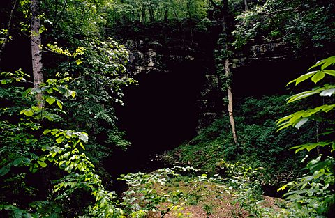 Russell Cave Entrance RUCA9323