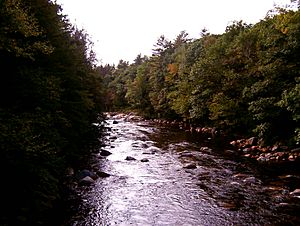 Saco River