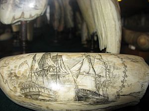 Scrimshaw