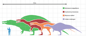 Spinosauridscale