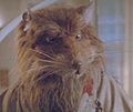 Splinter1990movie