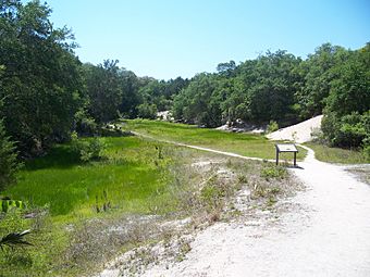 St Aug Anastasia SP quarries03.jpg