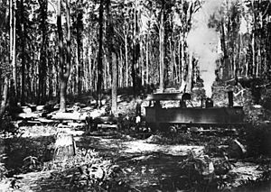 StateLibQld 1 78105 McKenzie's Tramway Locomotive, Fraser Island, Queensland, ca. 1920