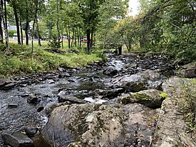 Tioga River Belmont NH 2019.jpg