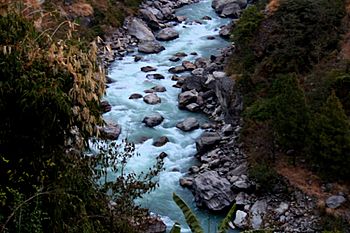 Trisuli River in Rasuwa.JPG