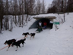 Under Lake Otis (4411937724)