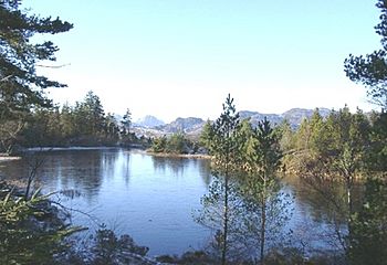 View from Gwydir Forest