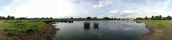 WimbledonCommon5