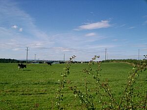 Wishaw countryside