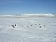 Graves of the dead crewman from the 1845 Franklin Northwest Passage expedition