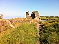 Black Castle, Wicklow, Ireland