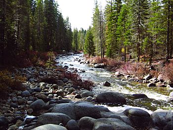 Dinkey Creek (3698751699).jpg