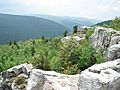 DollySods1