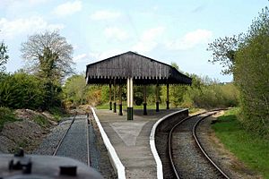 Downpatrick Loop Platform - geograph.org.uk - 350087