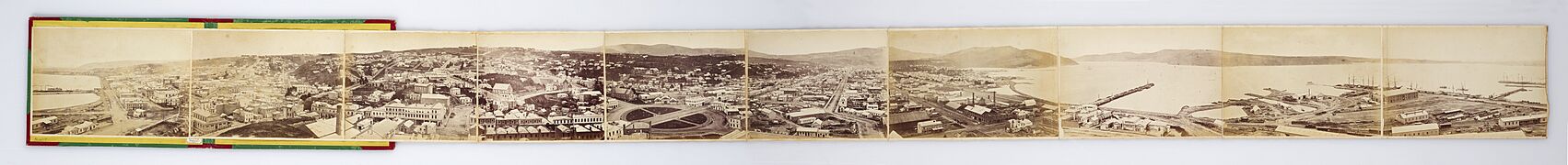 Dunedin 1874 Panorama