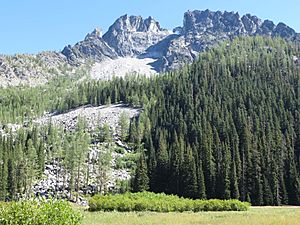 Emerald Peak saddle