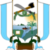 Official seal of Guapi, Cauca