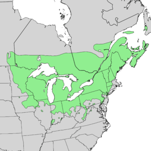 Fraxinus nigra range map 3.png