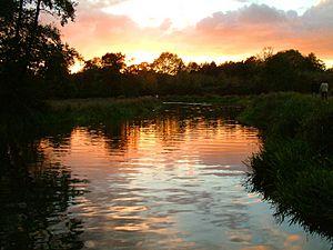 Godalming Navigation