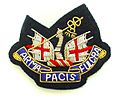 HAC Officers Beret Badge