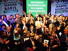 HDP November election manifesto 3