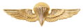 Honduran Parachutist Badge.png