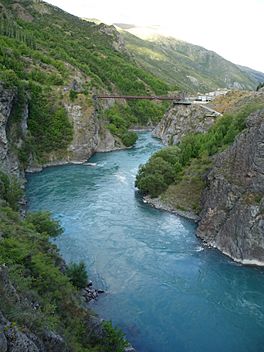 Kawarau River Bridge, 2008-12-30