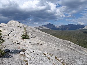 Lembert dome east