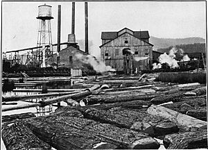 Meadow river lumber mill