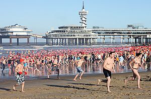 Nieuwjaarsduik