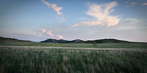 Oklahoma Tallgrass Prairie