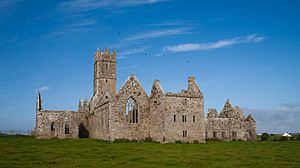 Ross Friary East Range 2010 09 14