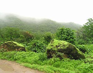 Salalah Oman