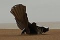 Scallop as a seabird - Aldeburgh - Maggie Hambling