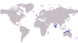 Sillago lutea distribution.PNG