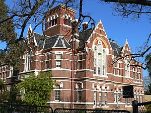 St kilda primary school