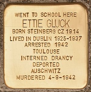 Stolperstein für Ettie Gluck (Dublin)