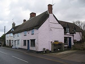 Thatched Cottage at Stalbridge - geograph.org.uk - 133085