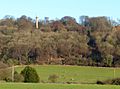 The Bridgewater Monument from Aldbury (geograph 3797389)